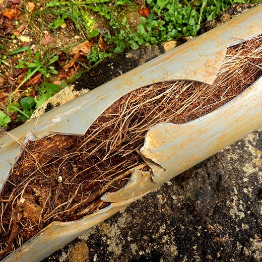 The Drain & Sewer Professionals In Glenelg