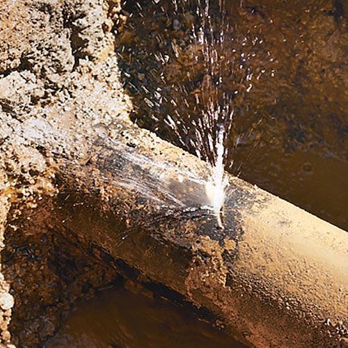 Same Day Glenelg Plumbers